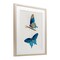 Stupell Industries Blue Butterflies Pair Framed Print Under Glass, design by Arlington Prints